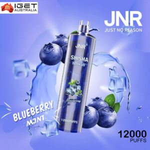 JNR SHISHA HOOKAH – BLUEBERRY POMEGRANATE – 12000 PUFFS