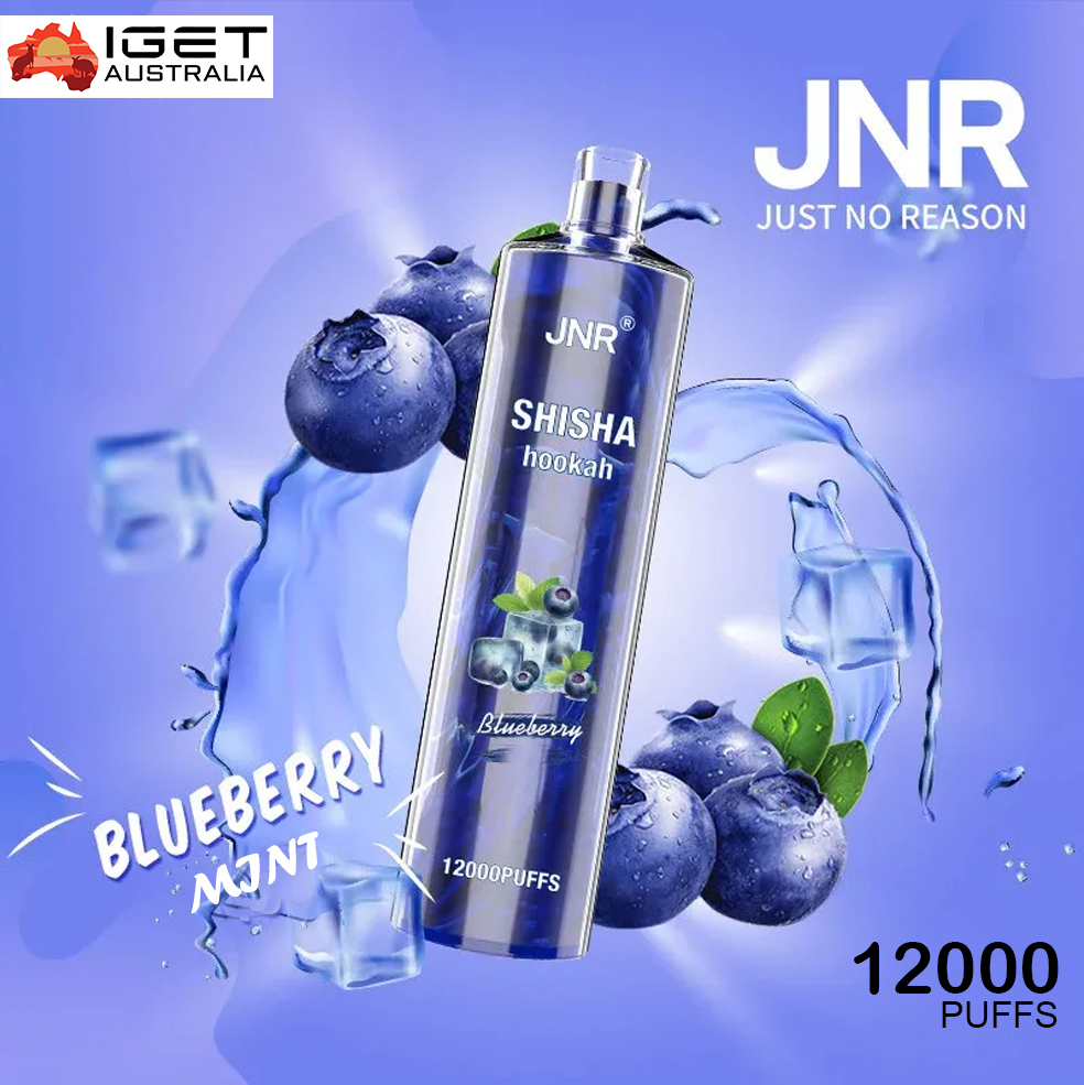 JNR SHISHA HOOKAH – BLUEBERRY POMEGRANATE – 12000 PUFFS
