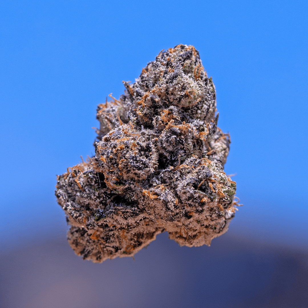 Blue Warheads THCa Flower *Exotic* - Image 4